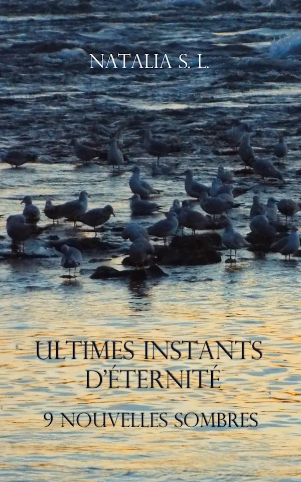 Couverture du livre Ultimes instants d'éternité par Natalia S. L.