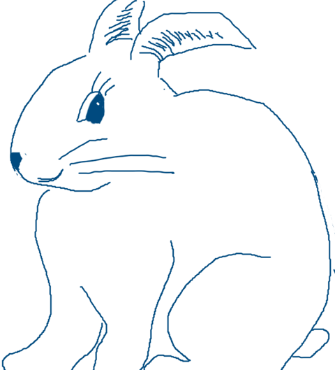 Stasia lapin abces dentaire dessin